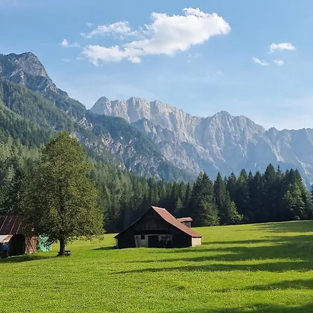 Apartmán Hani *
